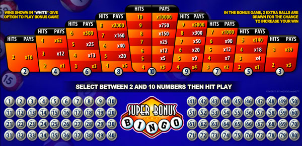 Live Bingo Online