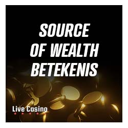 Source of wealth betekenis