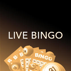 live bingo