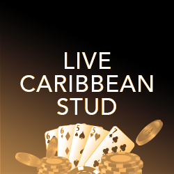 live caribbean stud