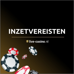 Inzetvereisten